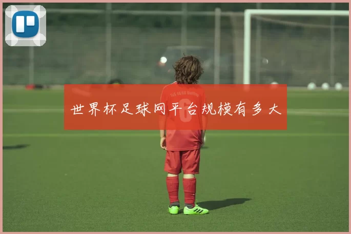 世界杯足球网平台规模有多大