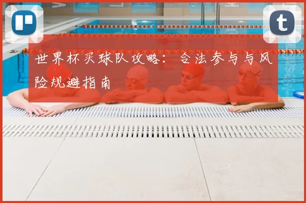 世界杯买球队攻略:合法参与与风险规避指南
