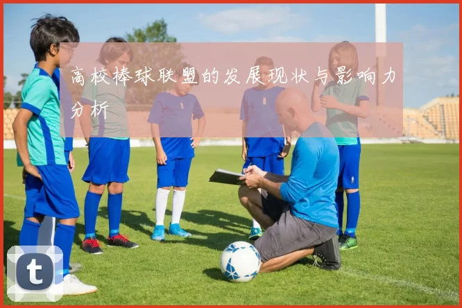 高校棒球联盟的发展现状与影响力分析