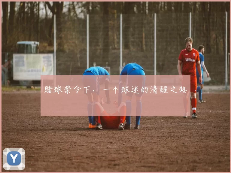 赌球禁令下,一个球迷的清醒之路