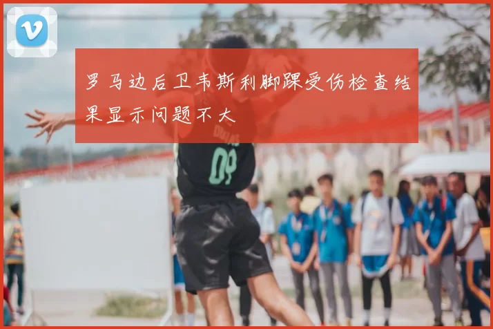 罗马边后卫韦斯利脚踝受伤检查结果显示问题不大