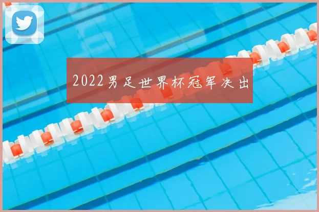 2022男足世界杯冠军决出