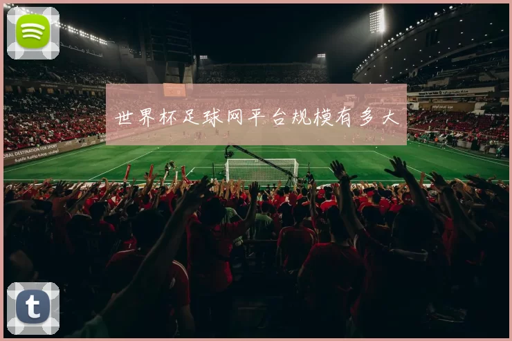 世界杯足球网平台规模有多大