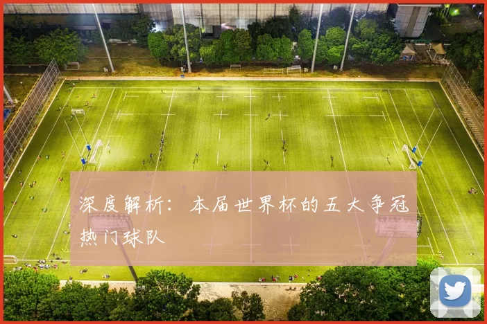 深度解析:本届世界杯的五大争冠热门球队