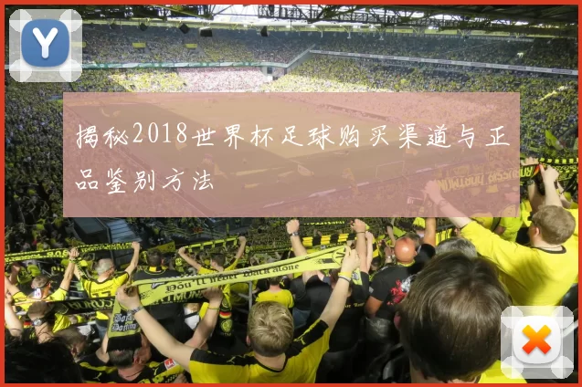 揭秘2018世界杯足球购买渠道与正品鉴别方法