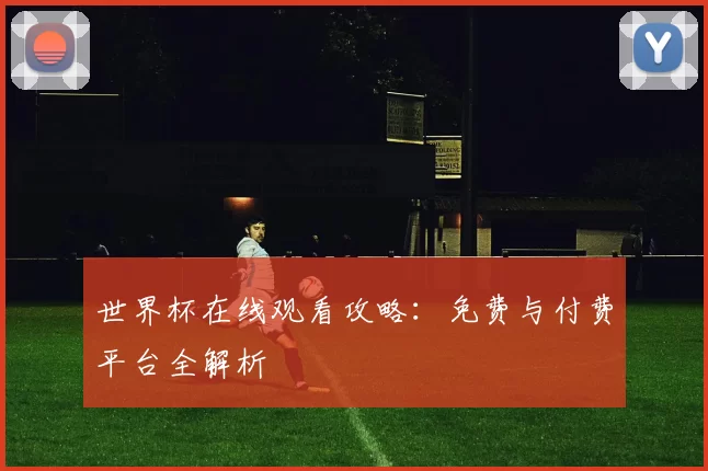 世界杯在线观看攻略：免费与付费平台全解析
