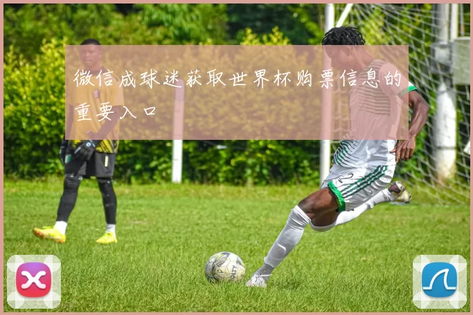 微信成球迷获取世界杯购票信息的重要入口