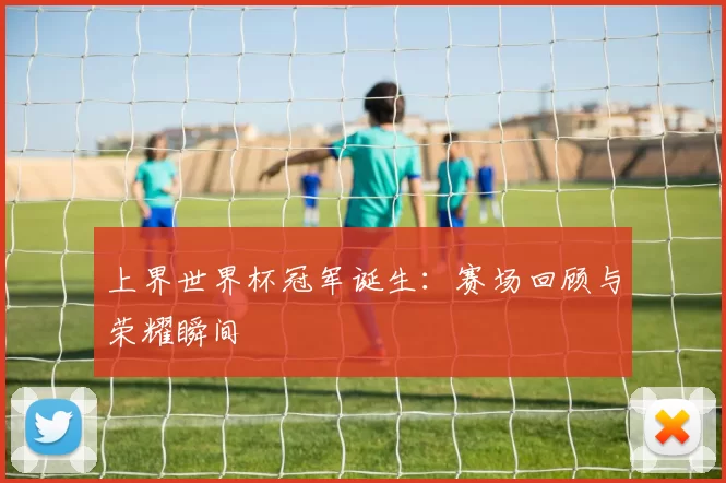 上界世界杯冠军诞生:赛场回顾与荣耀瞬间