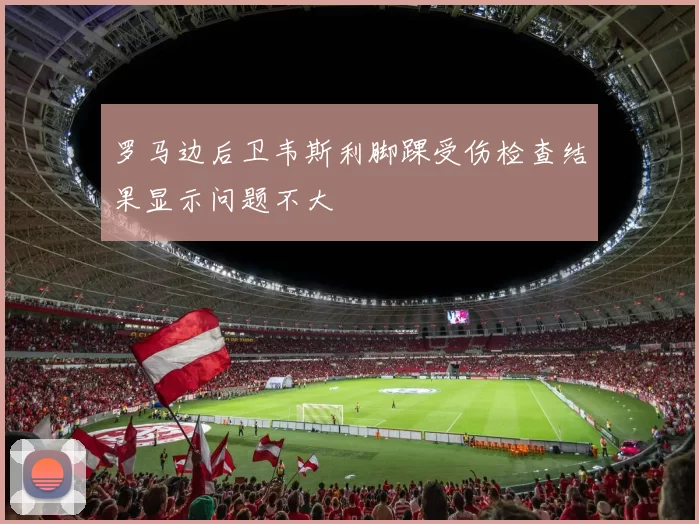 罗马边后卫韦斯利脚踝受伤检查结果显示问题不大