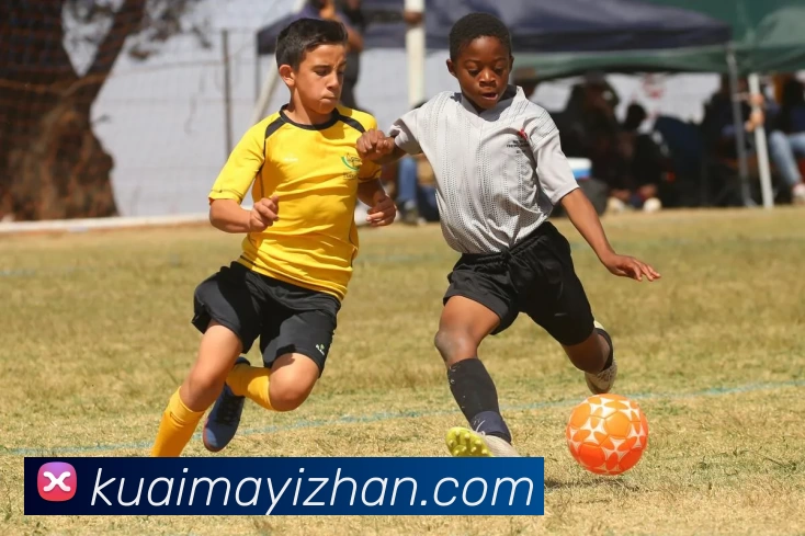 登录器